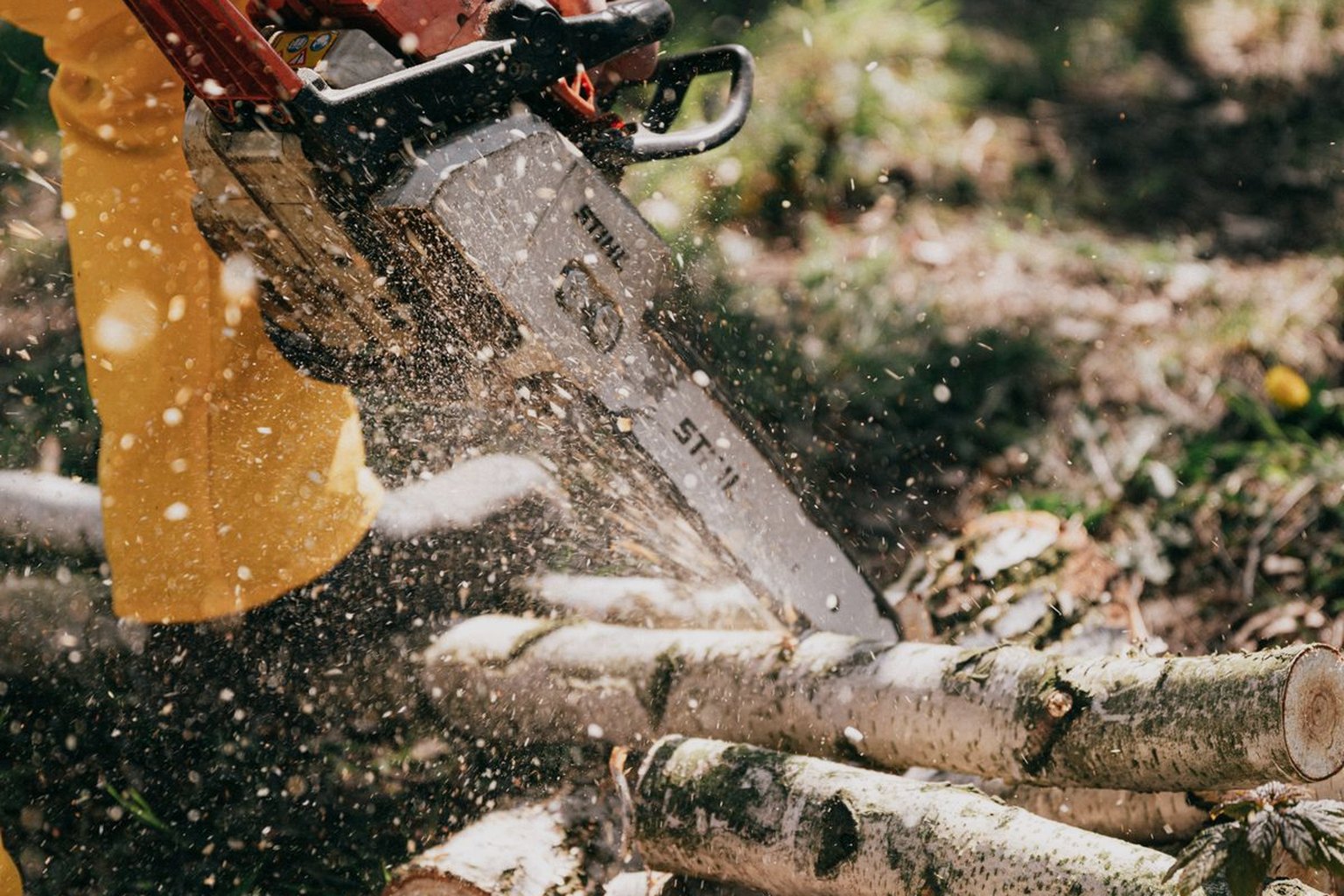 Professional petrol chainsaw